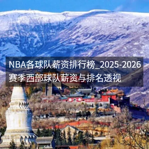 nbq各球队薪资排行榜_2025-2026赛季西部球队薪资与排名透视