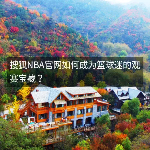 看球网